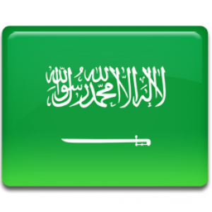 Saudi Arabia Email Addresses 31,616 Contacts 1