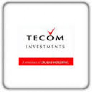 TECOM Companies Email Addresses - 3,116 Emails 1